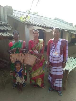 ମାଙ୍କିଡିଆ ପୋଟ